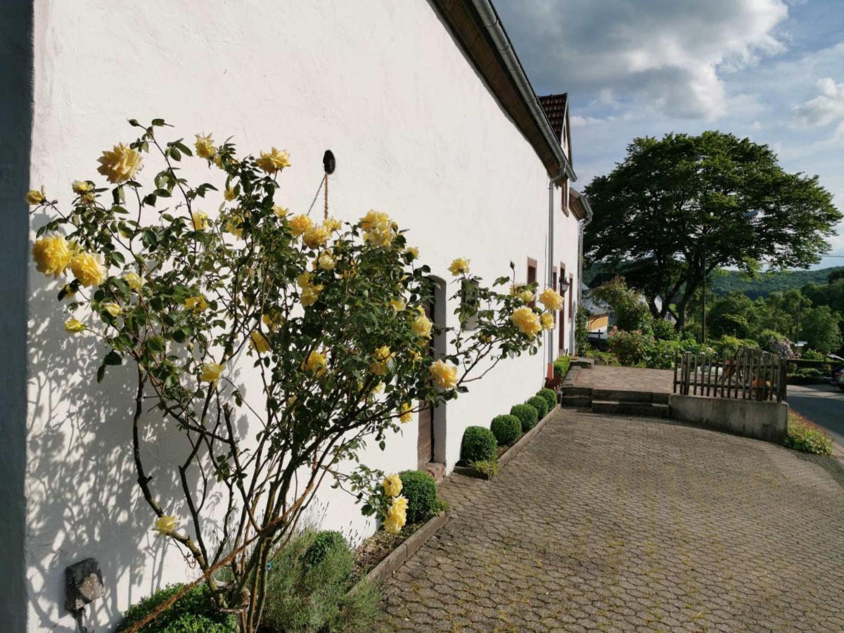 Ferienhaus Vulkaneifel Landhaus Loogh Kerpen  Exterior photo